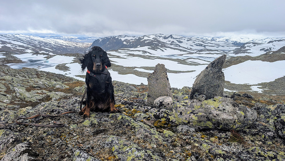 Endelig på Skjeldrane 