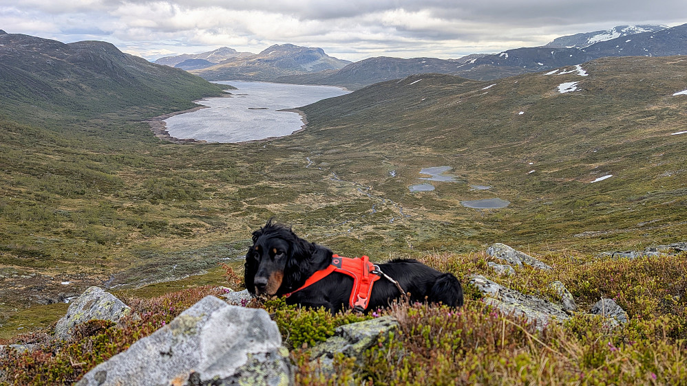 Mot Skamdalsfjorden...en liten arm av Olefjorden 
