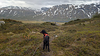 Atomsilda_20250616_68506b0d48a81.jpg