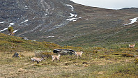 Atomsilda_20250616_68506b126d4b6.jpg