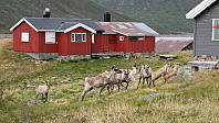 Atomsilda_20250616_68506b13eb51f.jpg