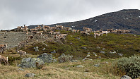 Atomsilda_20250616_68506b15796f0.jpg