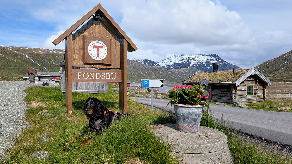 Litt sommerlig nede ved Fondsbu 