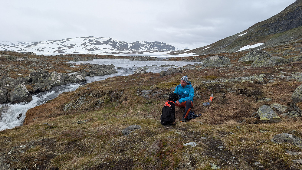 NÅ er vi langt inn i fjellet. Her ved Dryllin...og ved foten av Dryllenøse