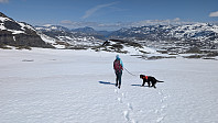 Atomsilda_20250627_685ebf994a800.jpg
