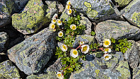 Atomsilda_20250627_685ebf9f34fc8.jpg