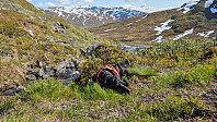 Atomsilda_20250627_685ebfa94ea0c.jpg