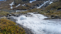 Atomsilda_20250627_685ebfab2e48e.jpg