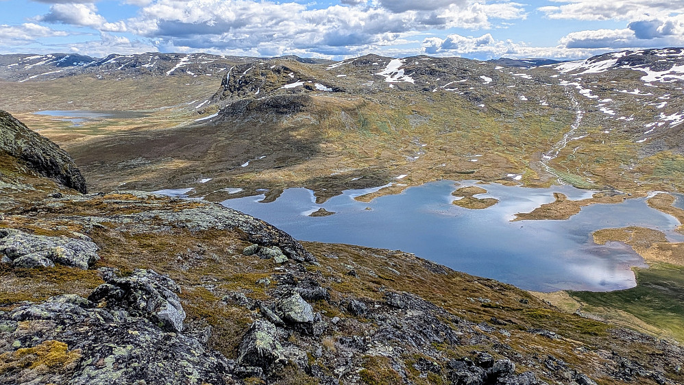 Dingletjørna