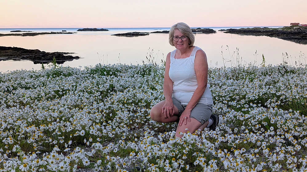 Det er sommer på Værøy. Blomster i tusenvis
