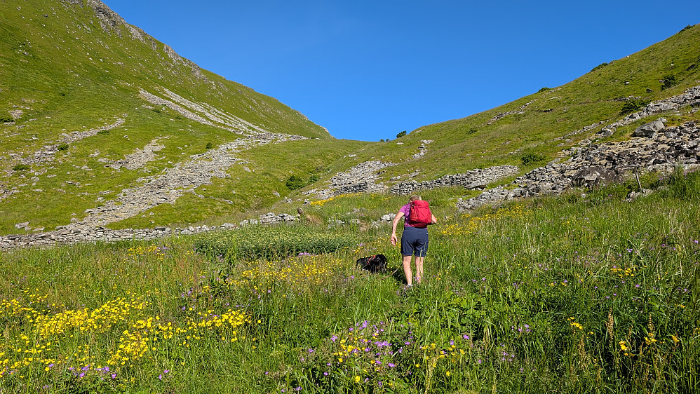 På vei opp fra Breivika til skaret 