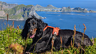 Atomsilda_20250716_68780d5161a8b.jpg
