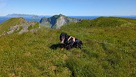 Atomsilda_20250716_68780d5b5b498.jpg