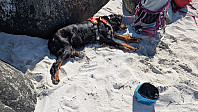 Atomsilda_20250716_68780d679a0d1.jpg