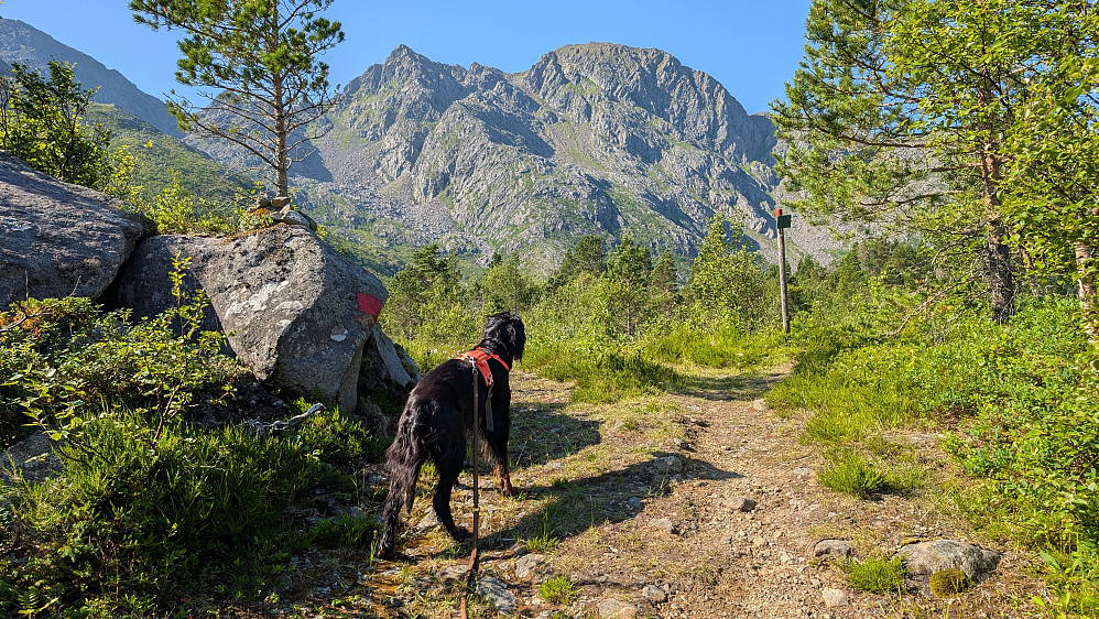 En vakker dag... brennhet..nesten "farlig " hett for en Drammenser