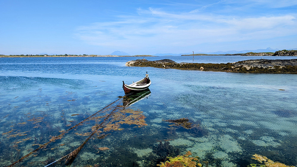 Flotte Vega...og en nordlandsbåt. 
