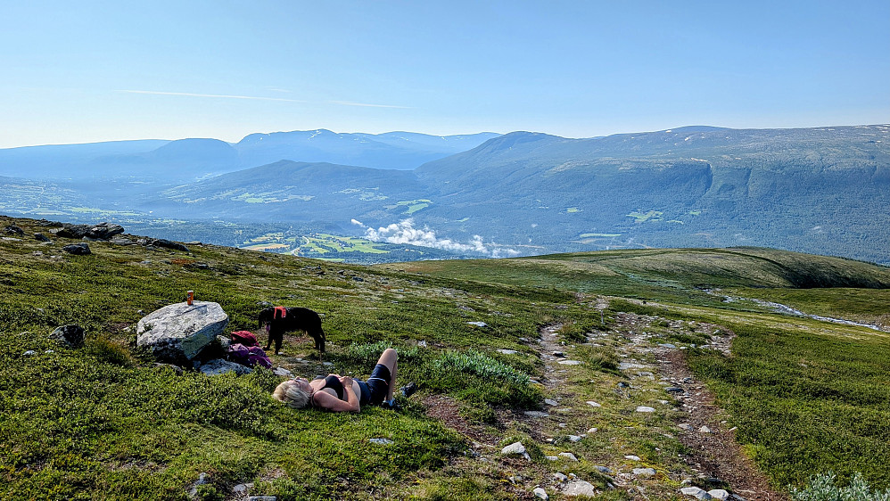 Pause i lyngen