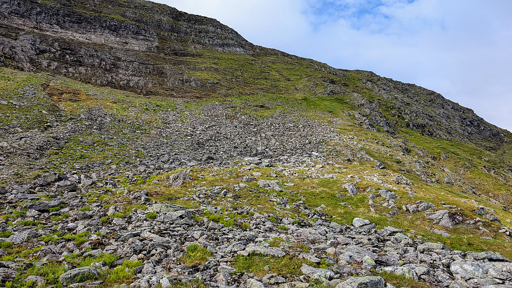 Valgte nok en VEL bratt rute opp. Burde holdt mer nord, men Embla og jeg kom oss opp på ryggen .