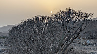 Atomsilda_20250810_689912cb625f7.jpg