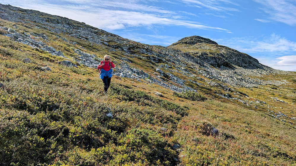 På vei ned igjen. Nørdre Bølhøgda til høyre 