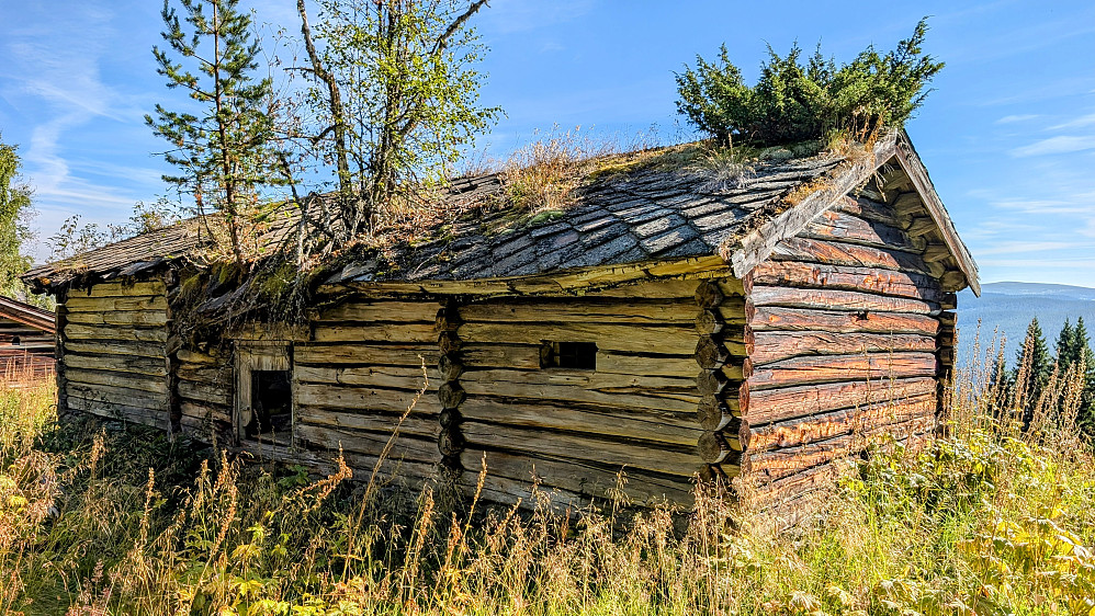 Naturen går sin gang...