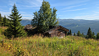 Atomsilda_20250818_68a35515bcdd9.jpg