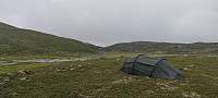 graham_20250808_68962acc0d999.jpg