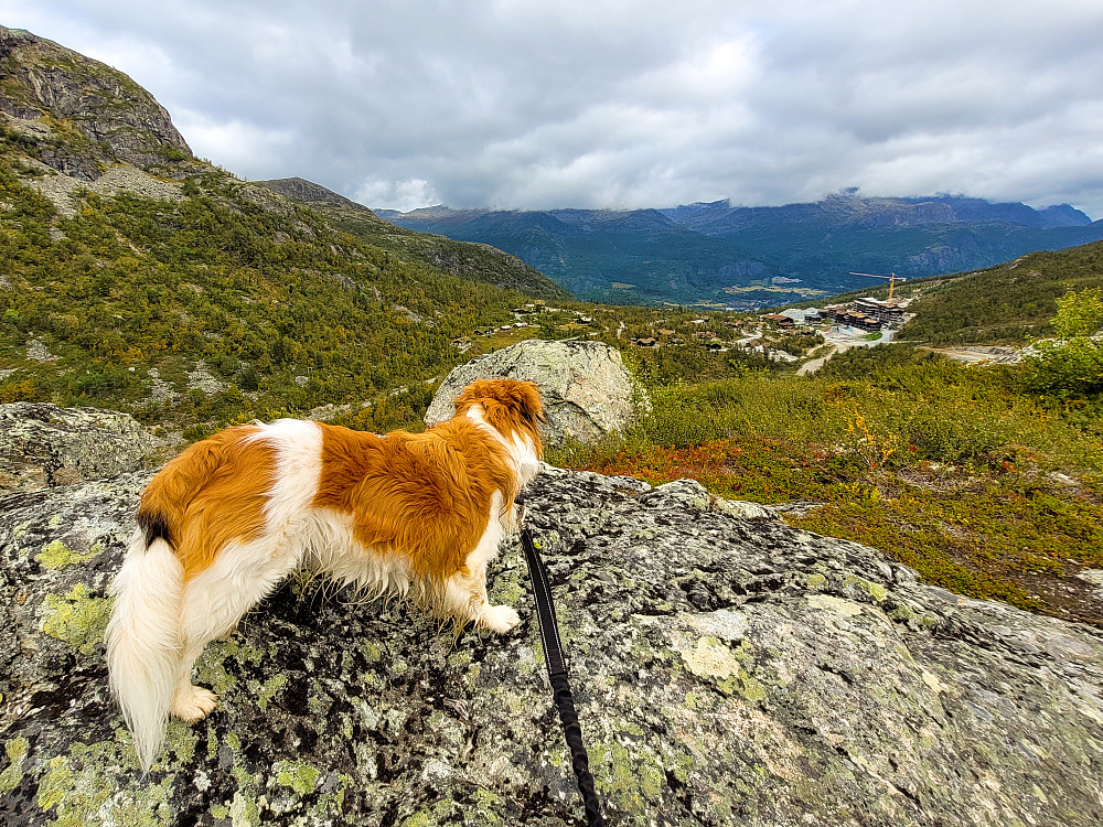 Utsikten ned mot Hemsedal hvor det bygges for harde livet.