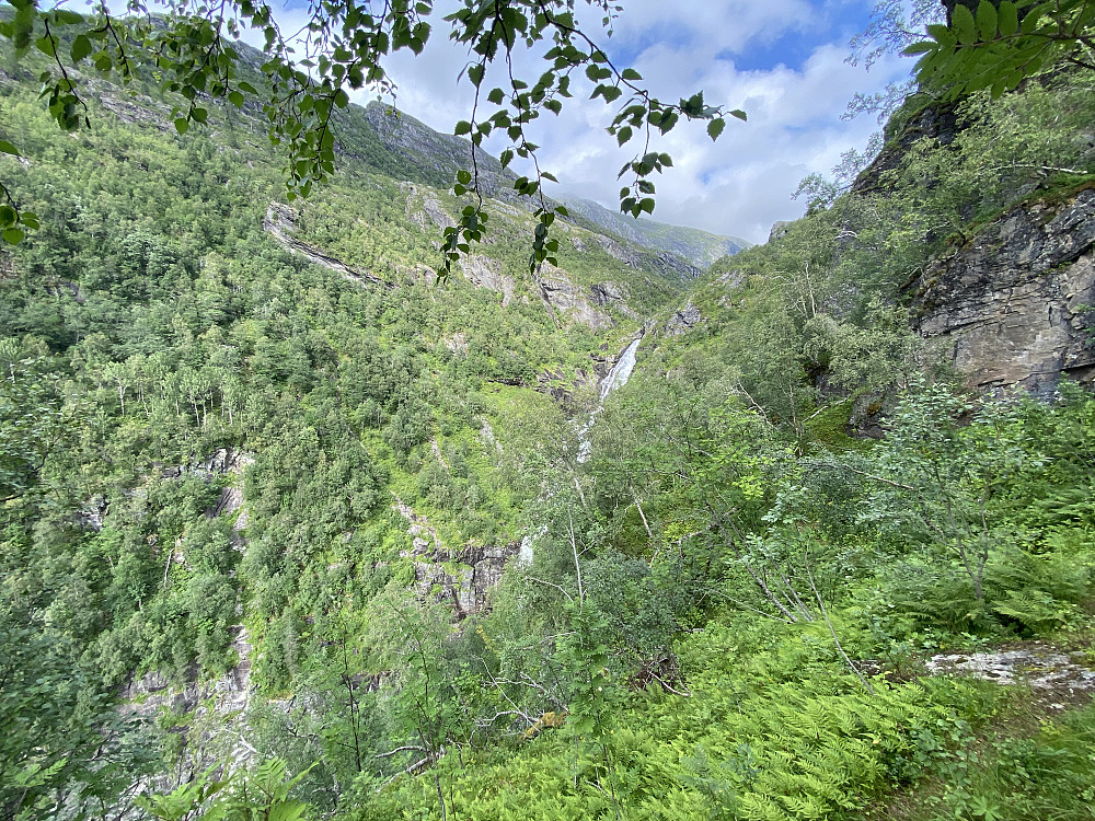 Neåa