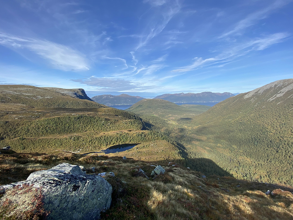 Rekdalsdalen