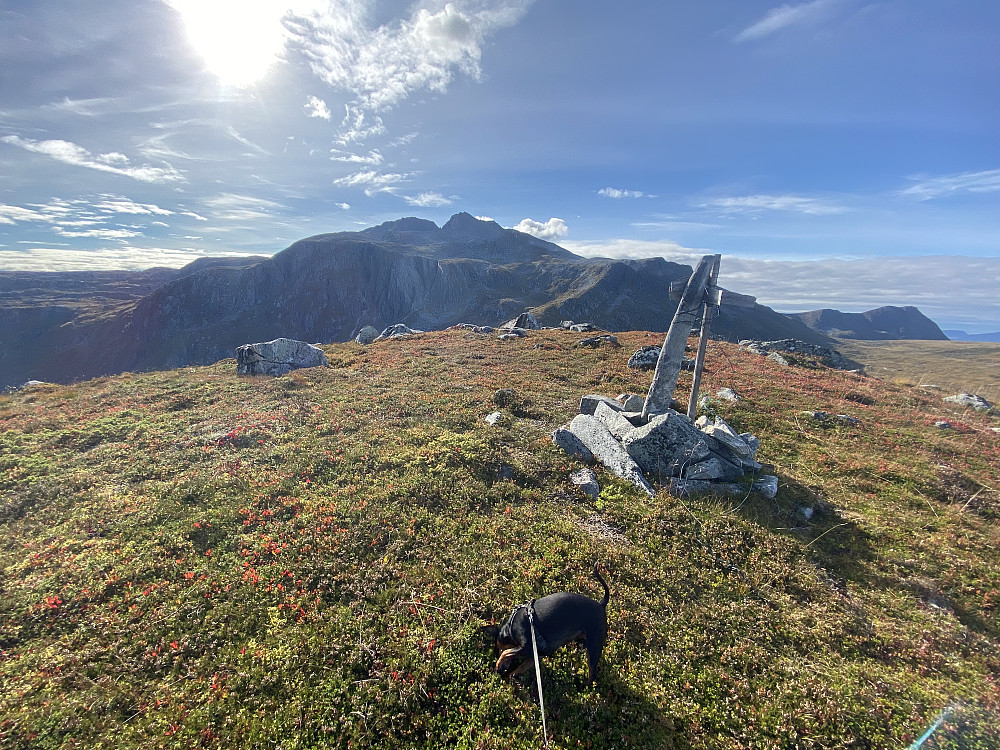 Blåskjerdingen