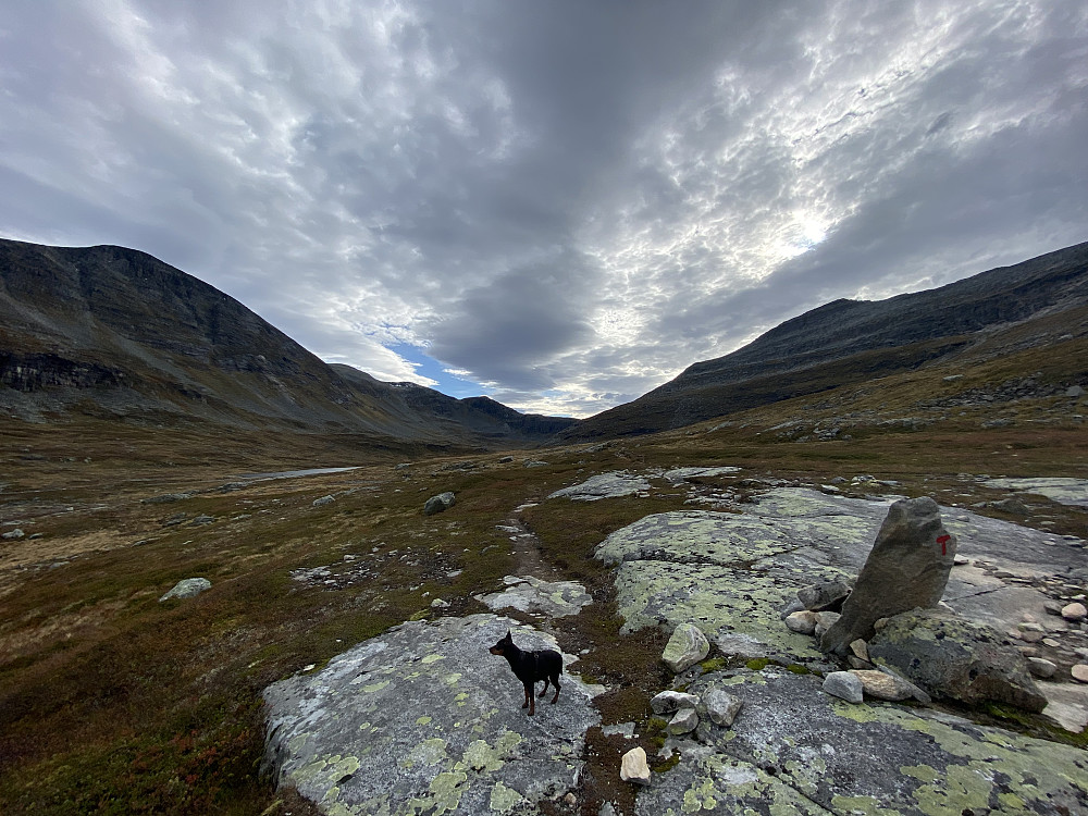 Renndalen
