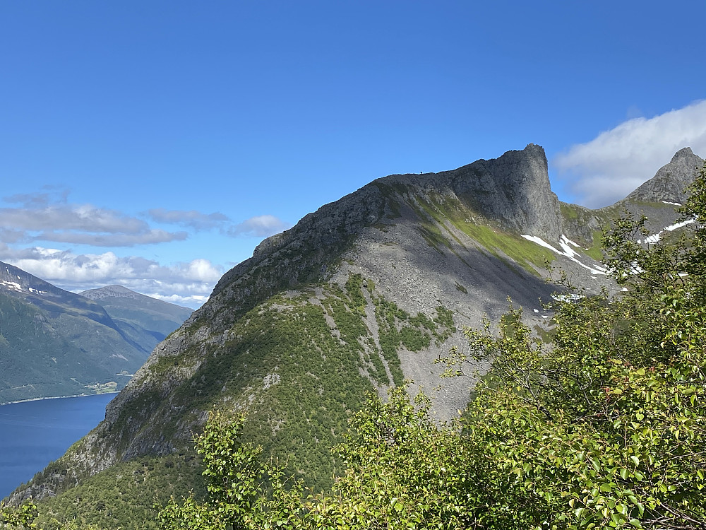 Nes-Staven