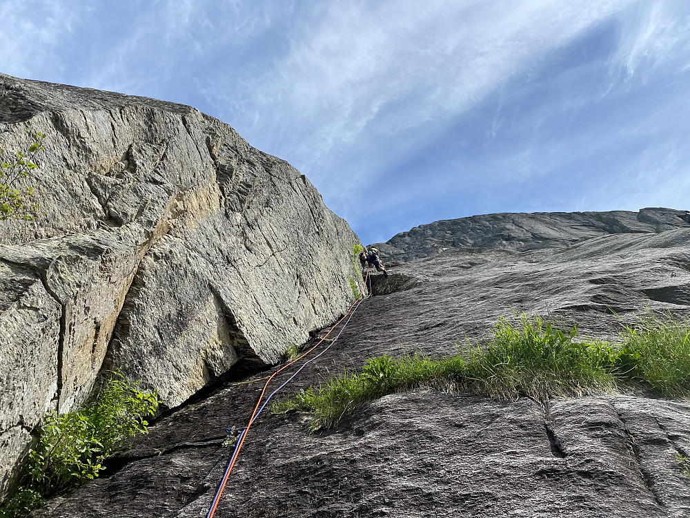 Geir på førstelengden