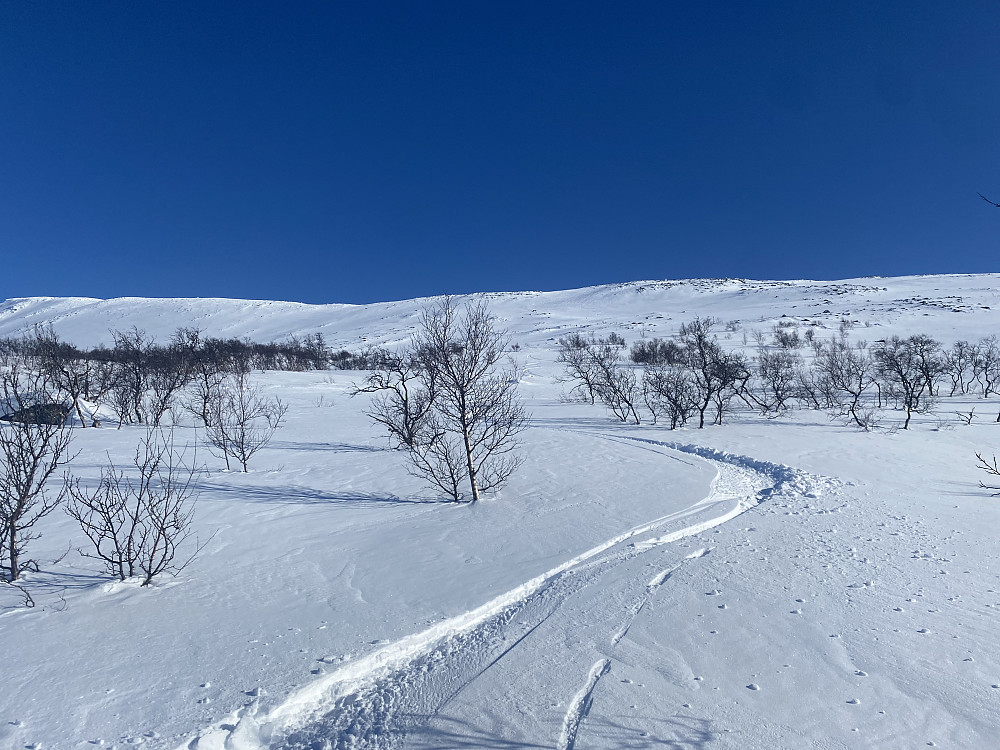 Pga av høy skredfare generelt i fylket ble det konservative sporvalg. Nedkjøringa fra Gruvnebba mot Midthjellen ble uansett meget bra med tørrsnø i fint cruiseterreng.