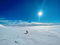 kstandal_20230315_64122862d1d93.jpeg