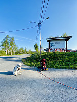 kstandal_20230708_64a98b87bfd81.jpeg