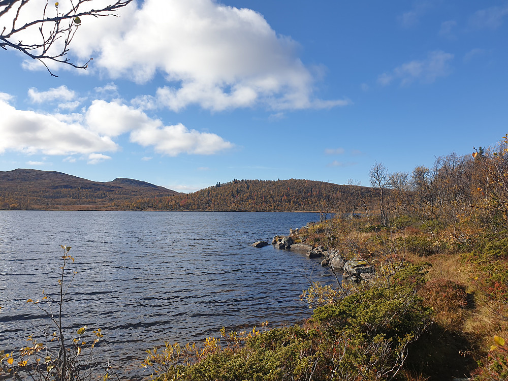 Fint ved Skjellbreidvatnet.