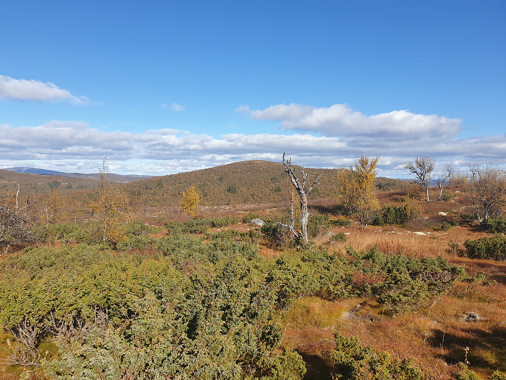 På veg mot neste turmål, Skjellbreidskampen i bakgrunnen.