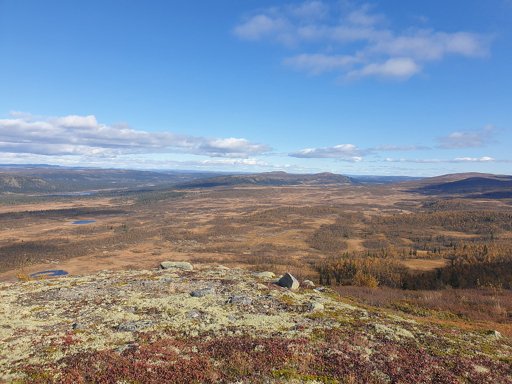På topp av Skjellbreidskampen. Ser mot mellom anna Ormtjernkampen i bakgrunnen, ein gong Norges minste nasjonalpark.