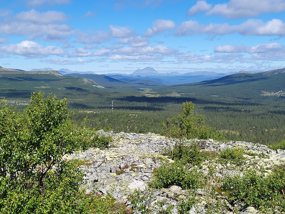 Utsikt mot nord, der Store Sølnkletten kneisar i bakgrunnen.