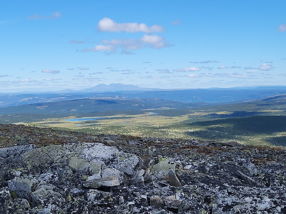 Utsikt mot den mektige Rendalssølen.
