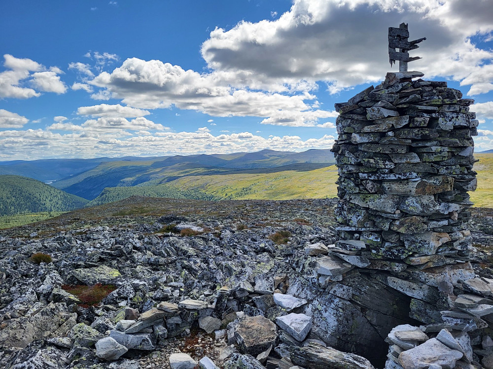 Toppvarden.