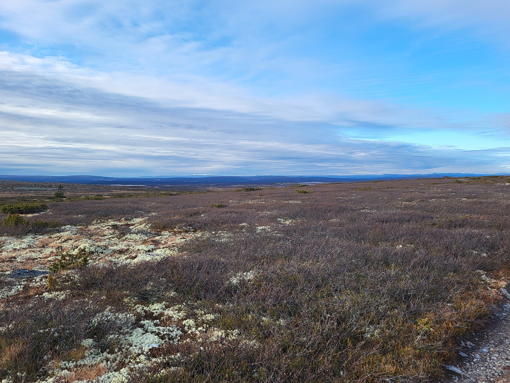 Utsikt mot Synnfjell og Gausdal vestfjell