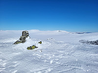 mariusmeland_20230402_642980f707ad4.jpg