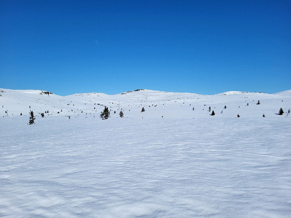 Utsikt mot dagens første topp, Svarthammaren.
