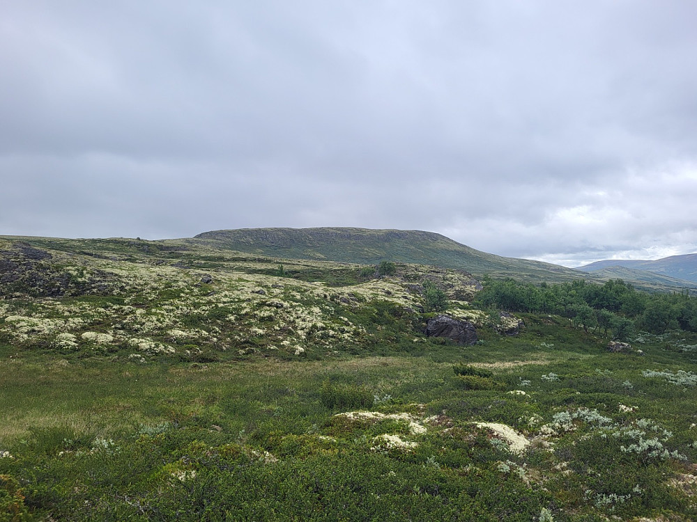 Utsikt mot Marsjøtangen