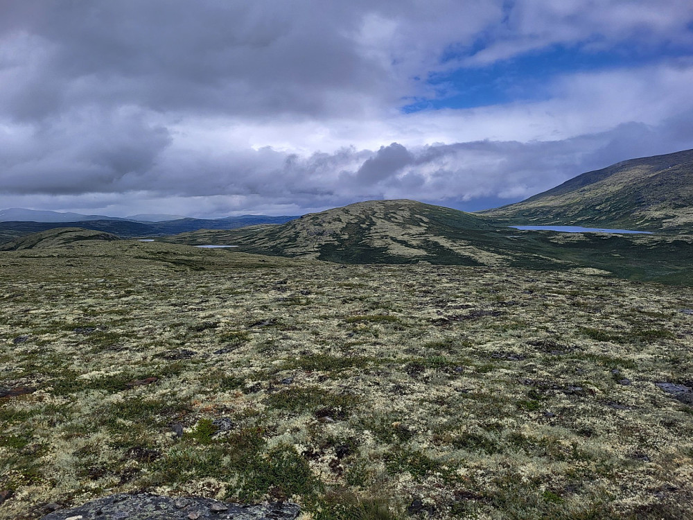 Utsikt frå Marsjøtangen mot nord.