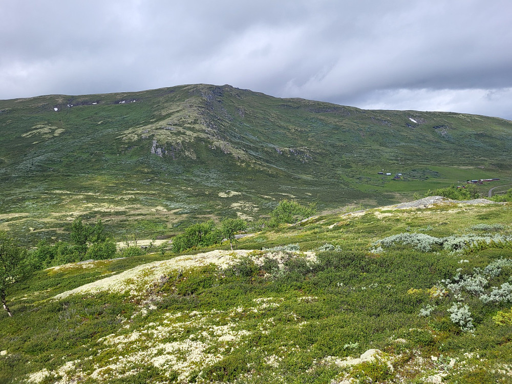 Utsikt mot dagens siste topp, Setalberget. Borkhussætra til høgre.