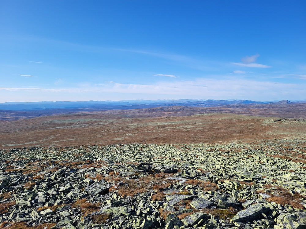 På Store Hirisjøhøgda, med utsikt mot Jotunheimen